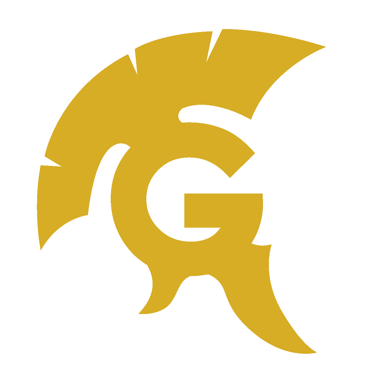 GuardianLiner®